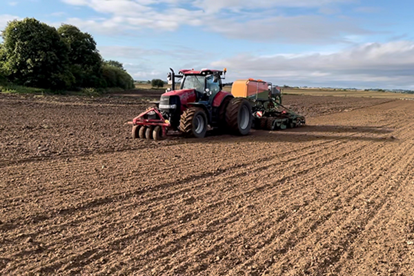 Traktor, der kører og etablerer raps